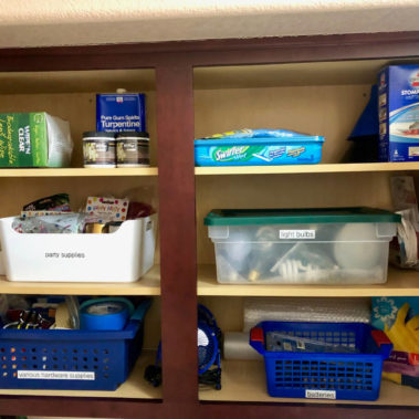 Vegas Organized Life